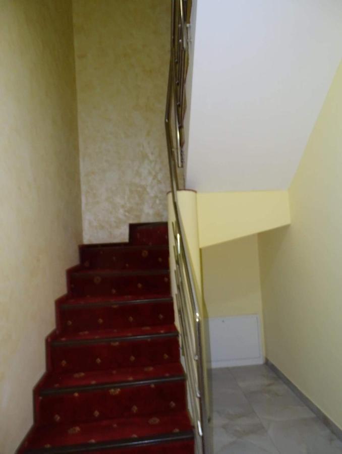 Vila Nicholas Bărcăneşti Extérieur photo
